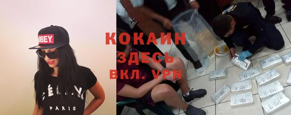 МДПВ Абаза