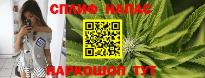 стафф Краснознаменск