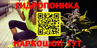 стафф Краснознаменск