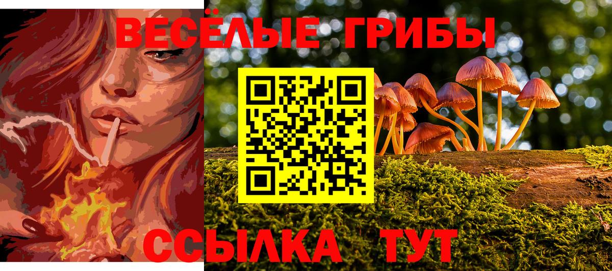 Псилоцибиновые грибы мицелий  Галлюциногенные грибы GOLDEN TEACHER  Вход с VPN  Зерноград 