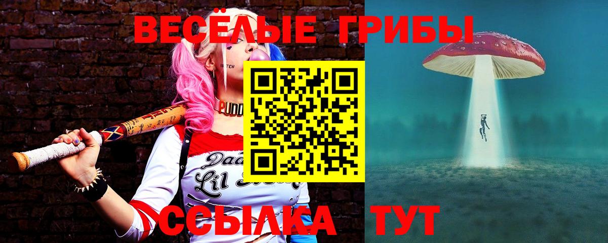Псилоцибиновые грибы прущие грибы Зерноград